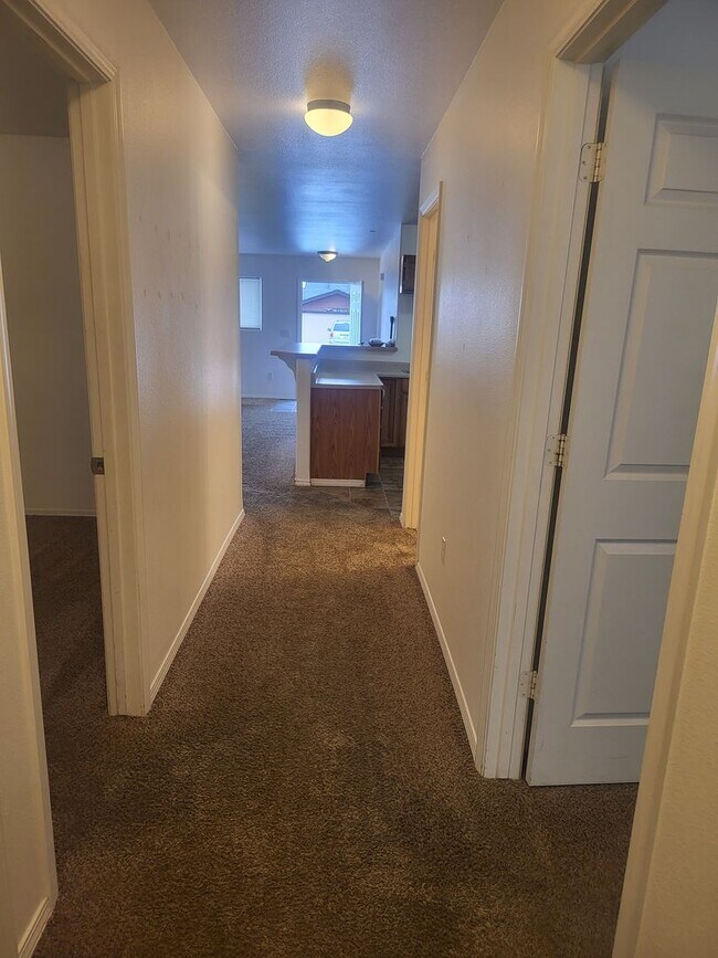 Building Photo - 215-217 K Street -Duplex