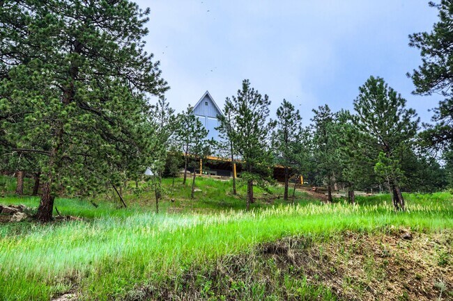 Building Photo - Mountain Serenity, City Convenience