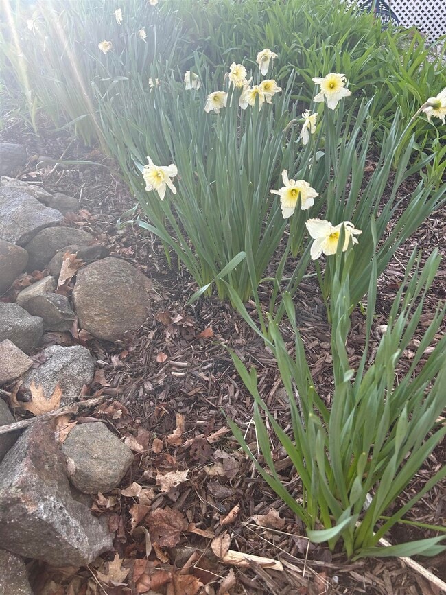 Building Photo - 293 Bear Hill Rd