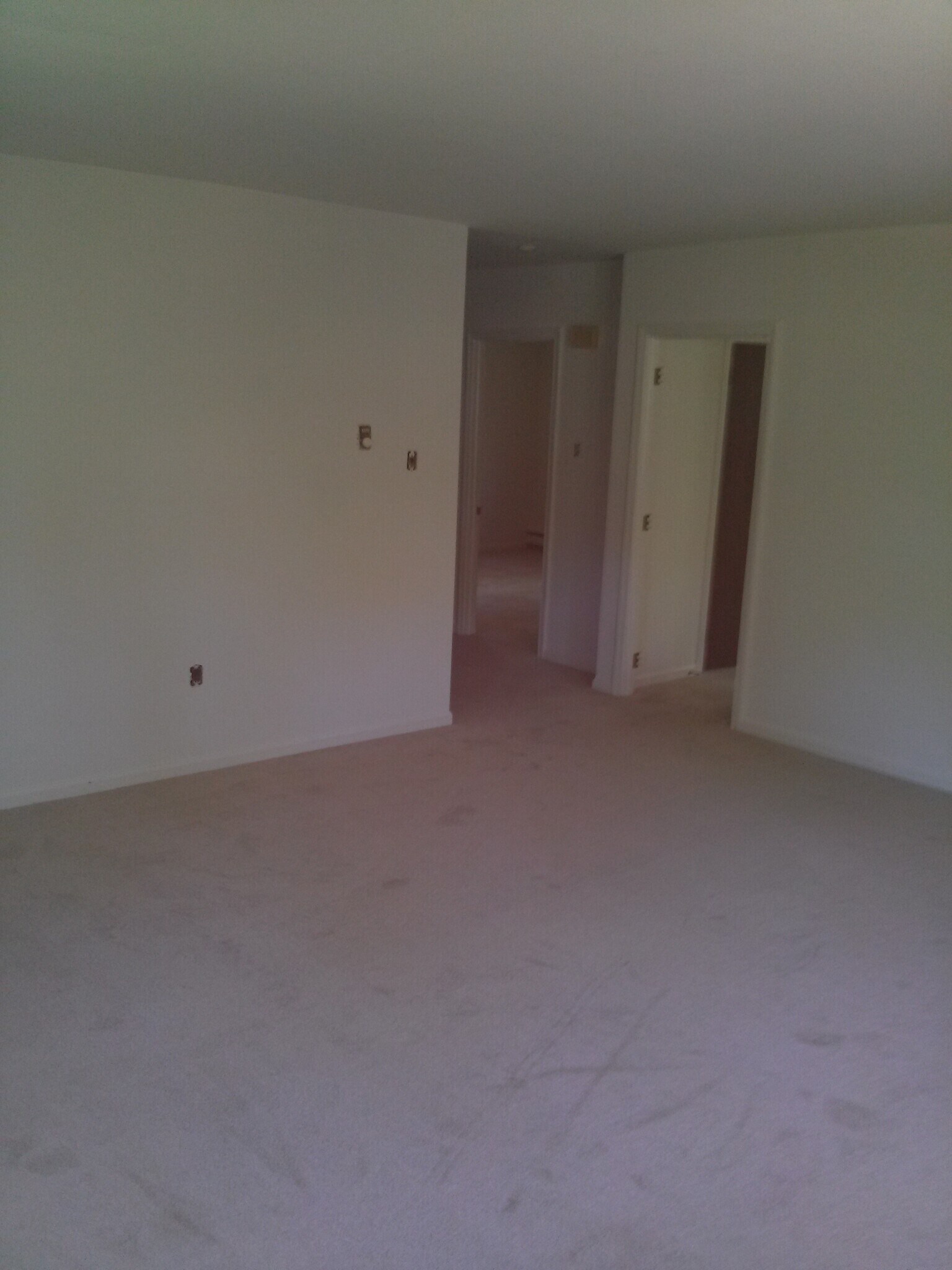 Living room - 325 Olive Ave