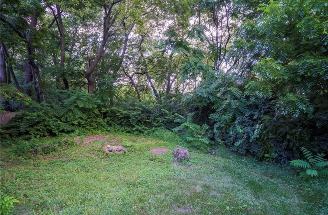 Backyard facing north - 600 Ridgeview Ave