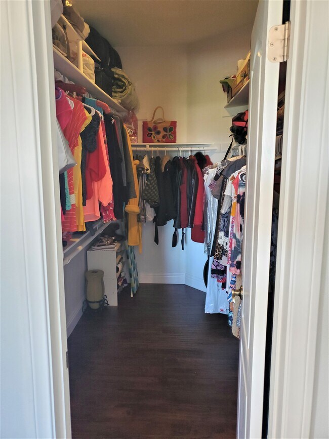 Walk-in Closet - 919 W Lewis St