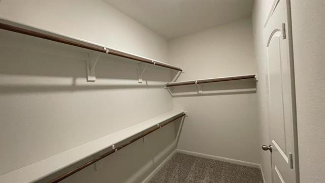 Building Photo - 137 Emma Dr