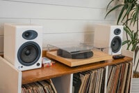 Building Photo - 559 Veritas St