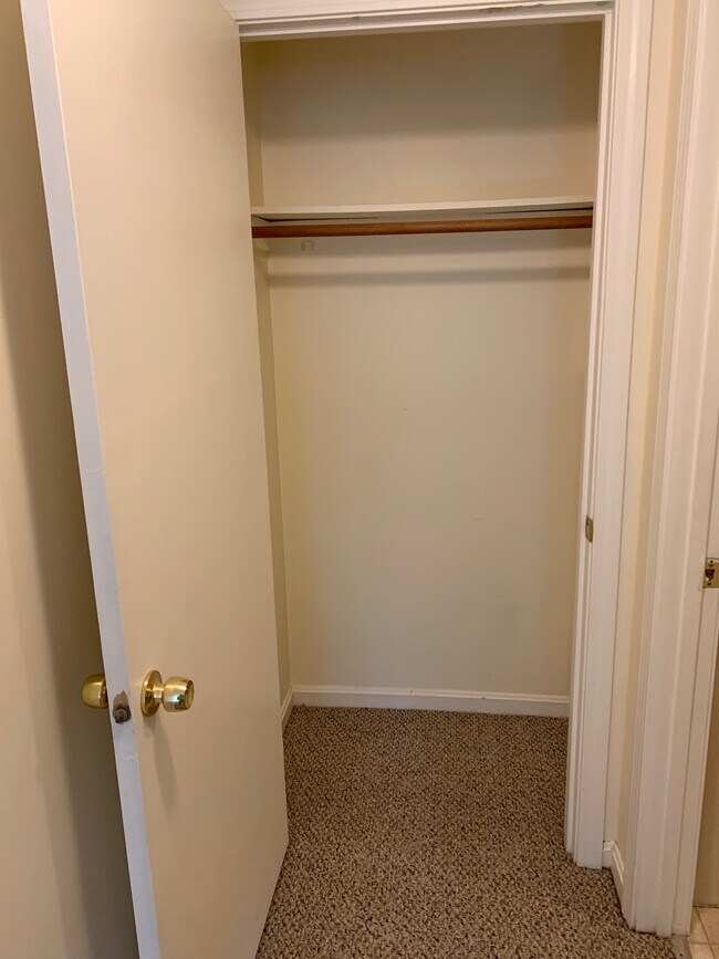 Bdrom #1 second closet - 246 E Bridge St