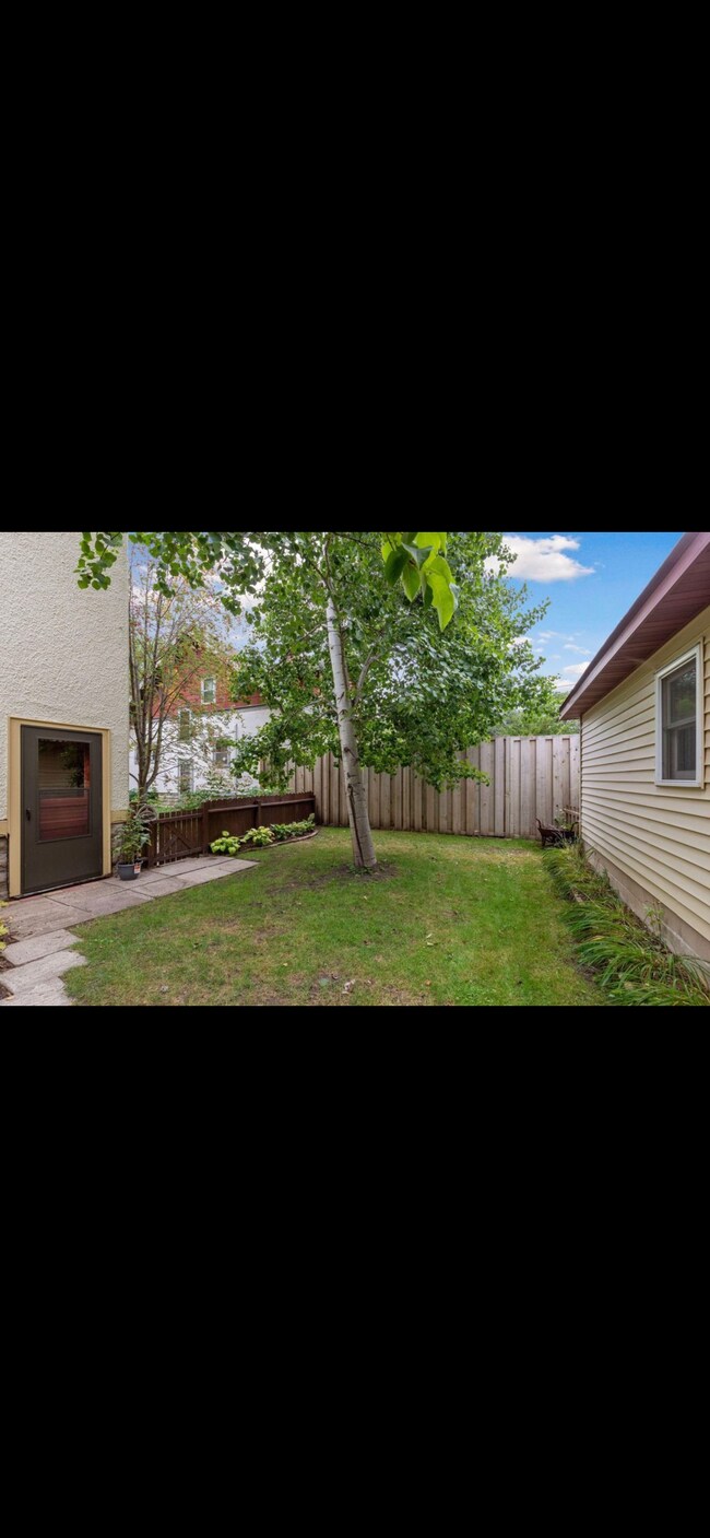 Back yard - 138 Cecil St SE