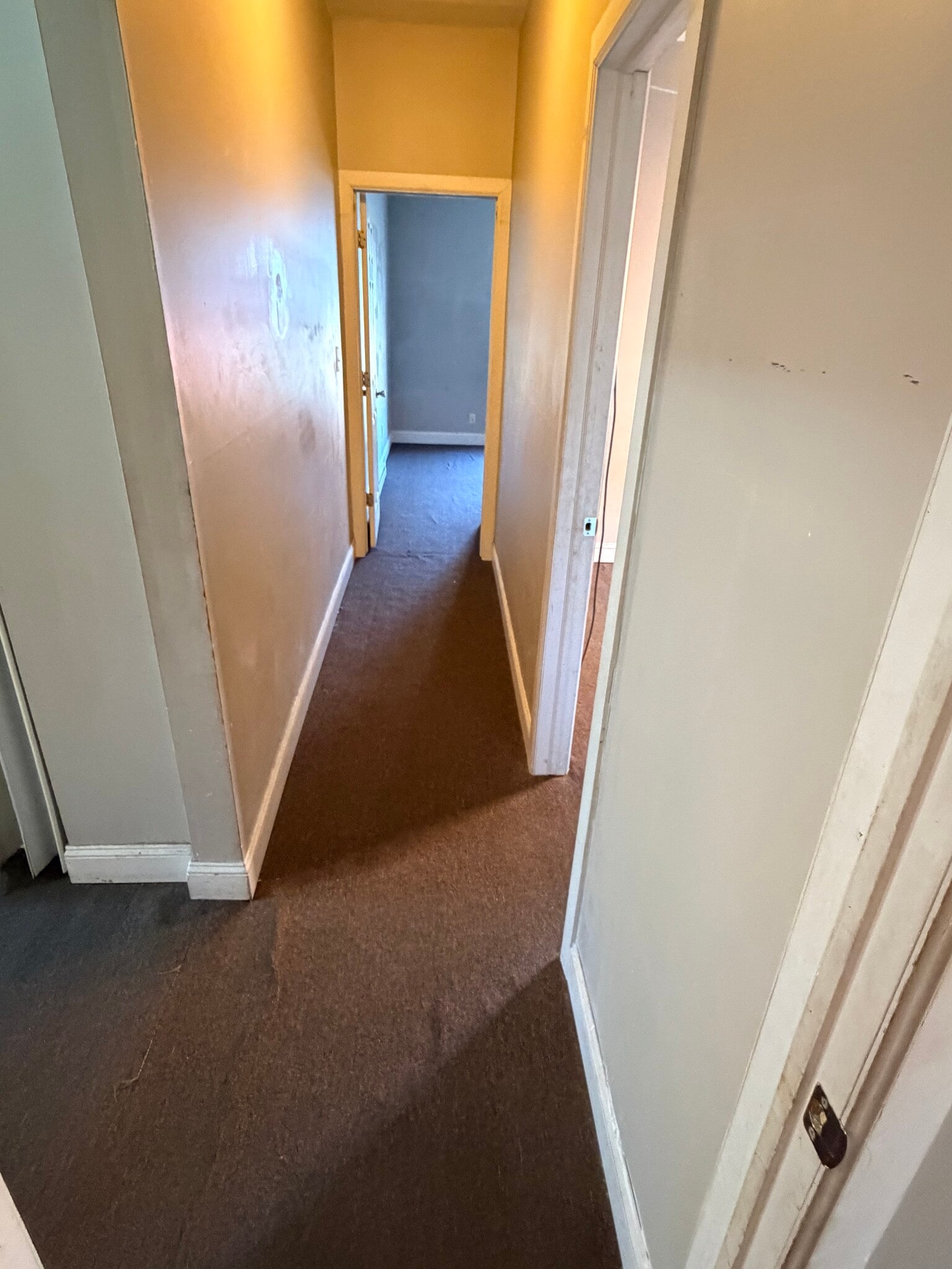 Hallway - 51 Seyms St