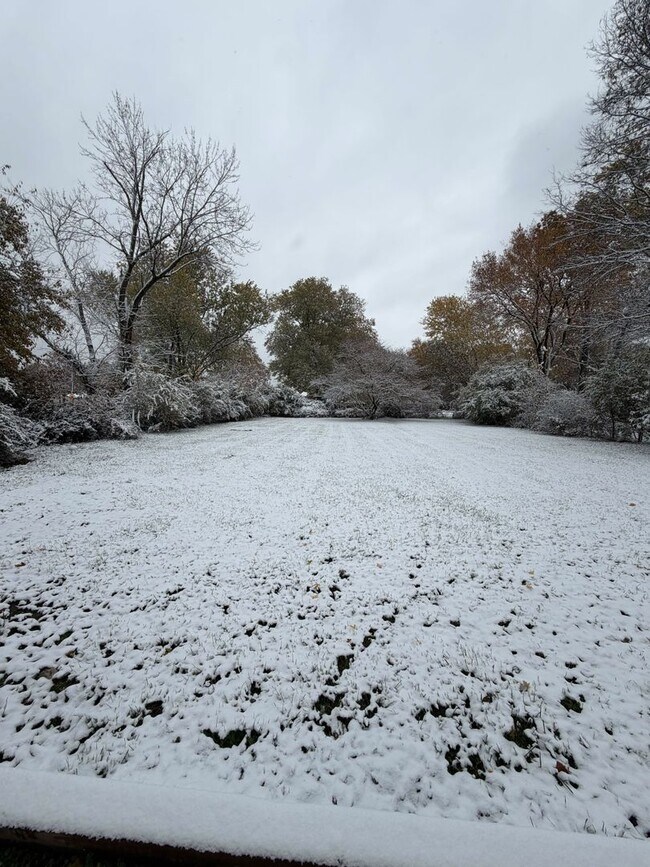 Building Photo - Freshly Renovated Home in Convenient Location!