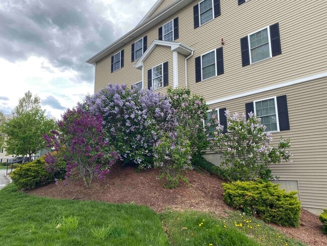 Building Photo - 10 Sentinel Court