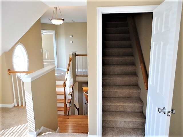 Building Photo - 905 Alba Rose Ln