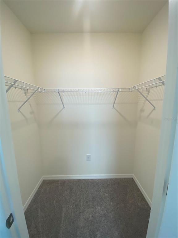 Building Photo - 2906 Suncoast Plains Dr