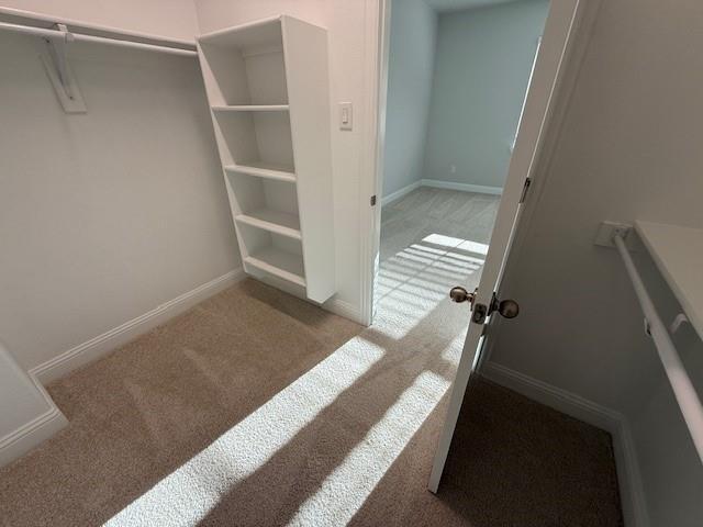 Building Photo - 313 Blackthorne Dr