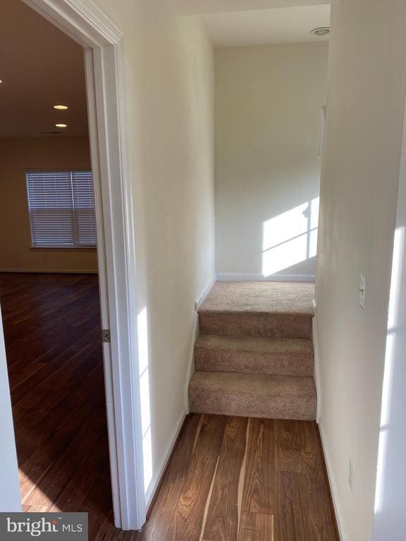 Building Photo - 104 Brasstown Loop
