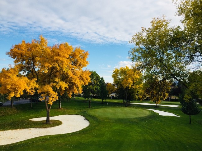 Building Photo - Pasadena Ridge Golf Course Apartments