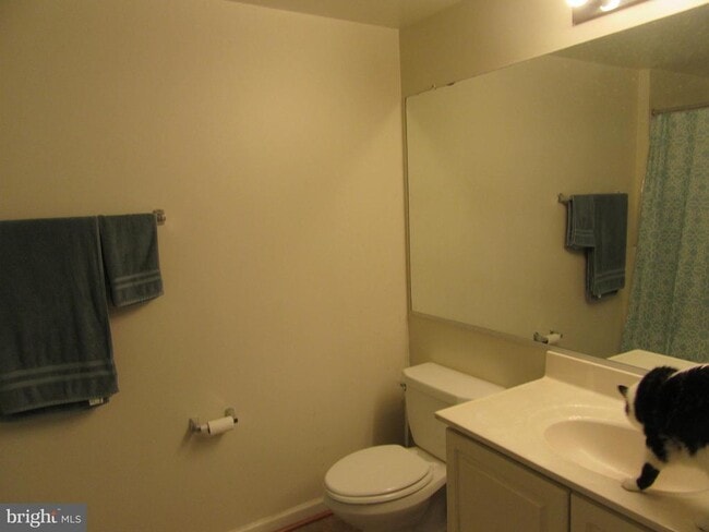 Building Photo - 11006 Koman Cir