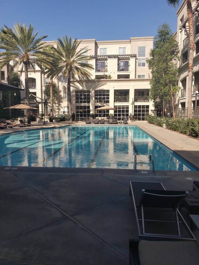 Swimming Pool - 1404 Scholarship