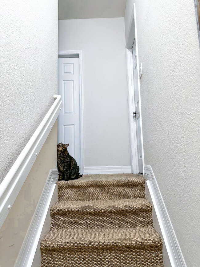 Building Photo - 137 Ocean Cay Way