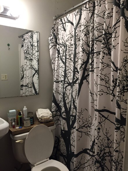 Building Photo - 567 Elmwood Ave