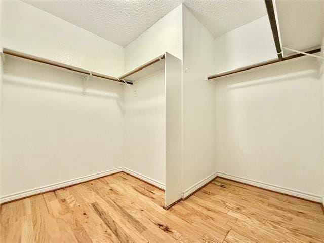 Building Photo - 1620 Flagstone Ln