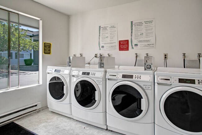 A shared laundry room with multiple coin operated washers and dryers - Lake Park