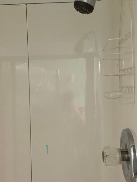 Shower - 801 Miller St