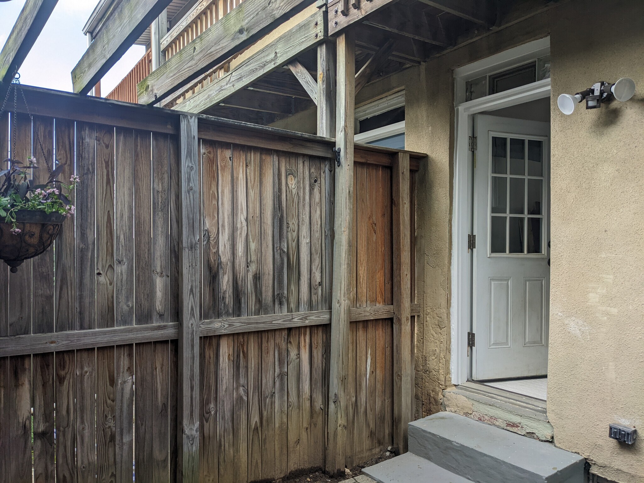 Yard and back door - 1528 Olive St