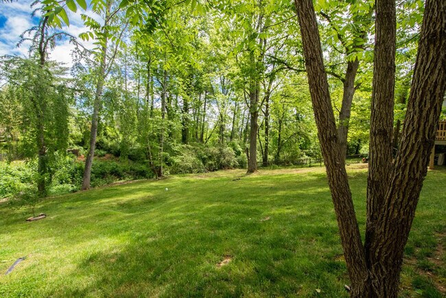 Building Photo - 1243 Pine Spring Dr