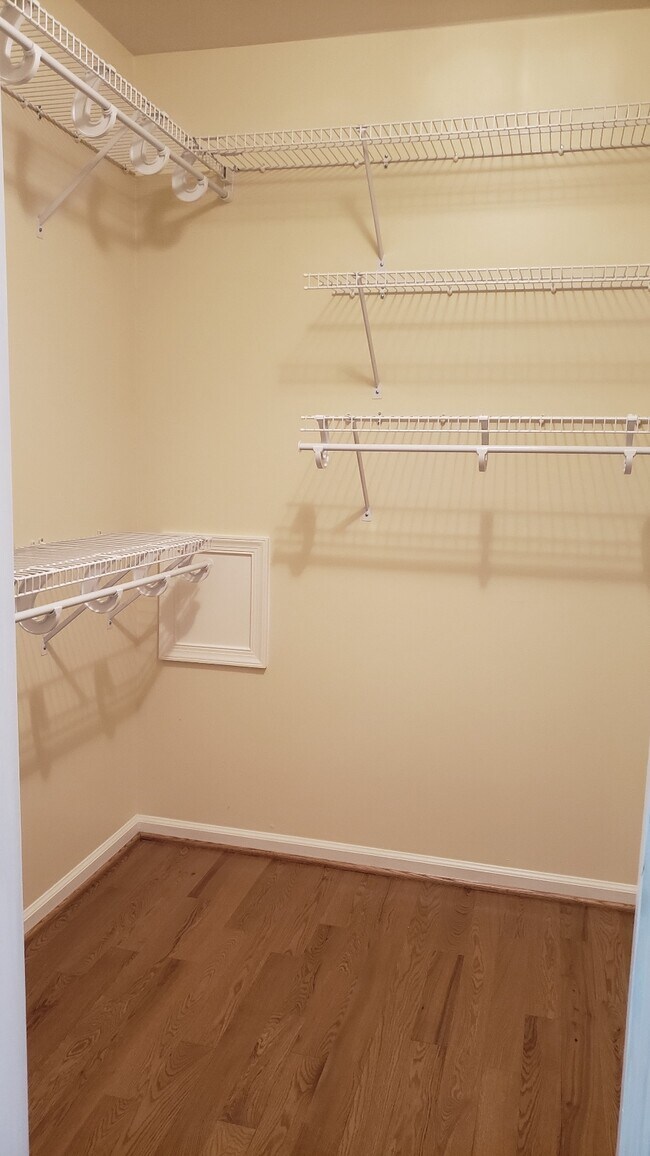 Building Photo - 1542 Surry Hill Ct