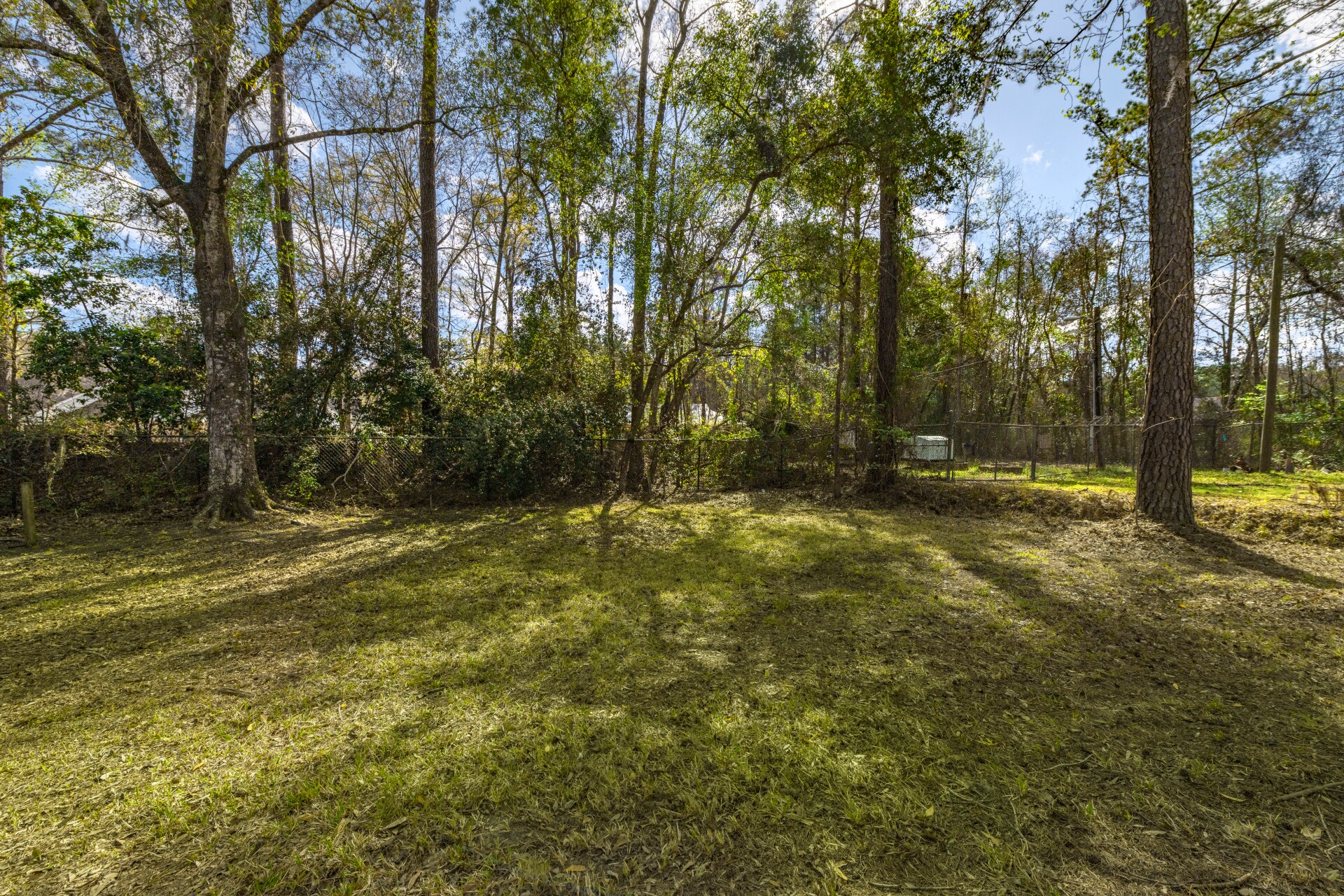Backyard - 377 W Wilbur St