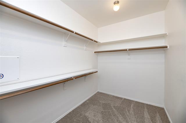Building Photo - 9971 Knoll Trace Way