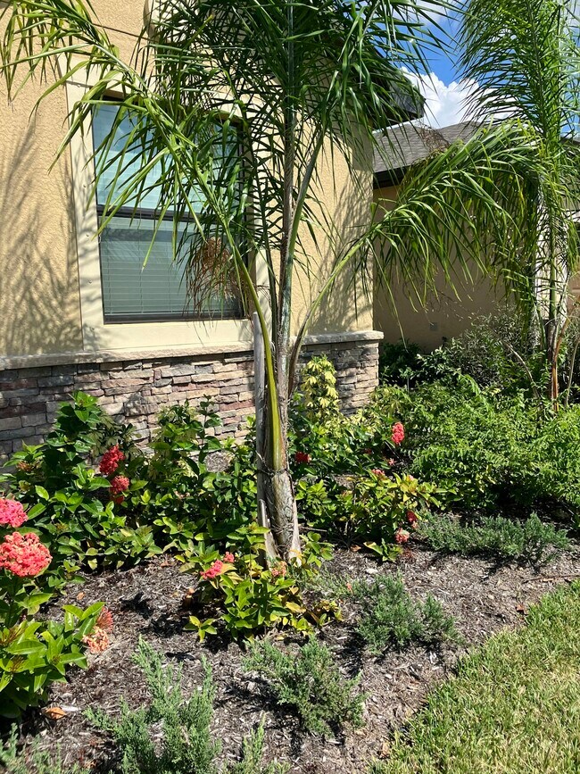 Building Photo - 14728 Cantabria Dr