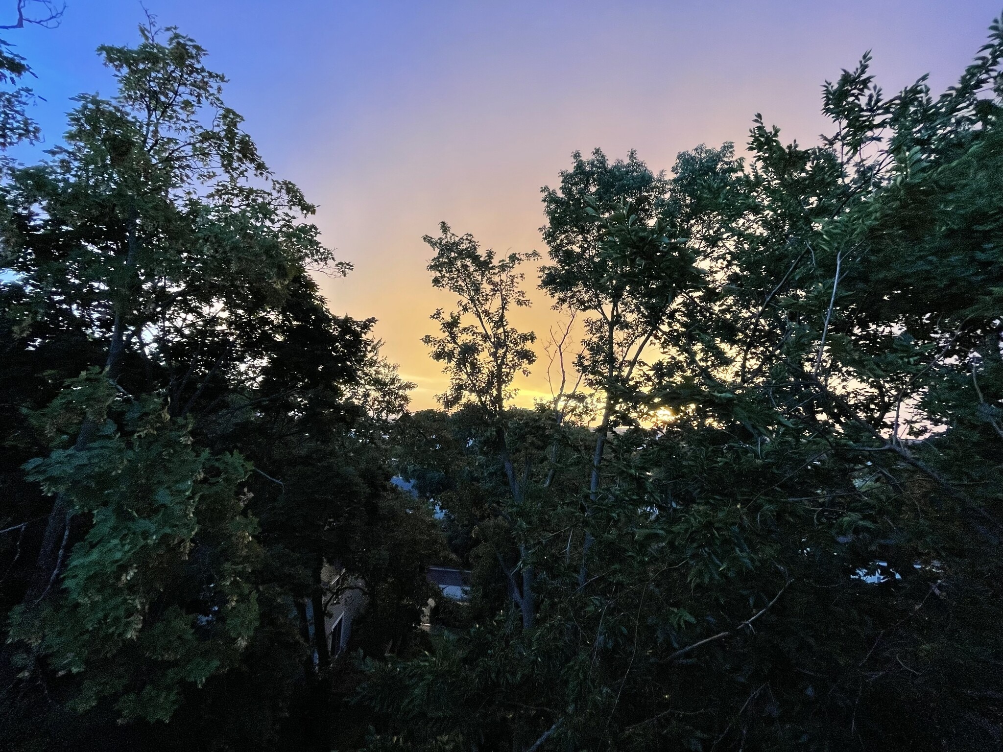 Kitchen Views at Sunset - 16 Tecumseh Street