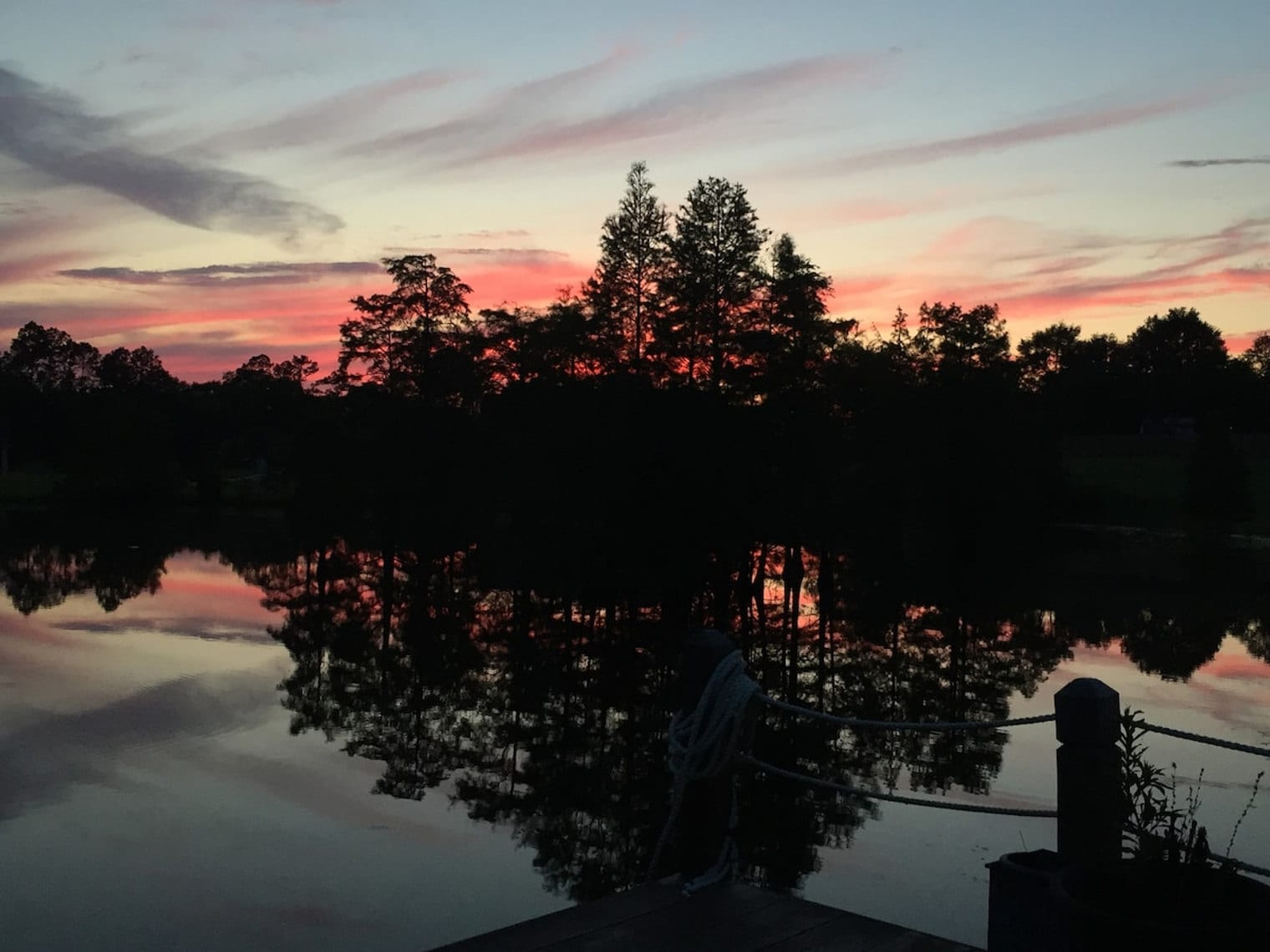 Building Photo - 15076 Audubon Lake Blvd