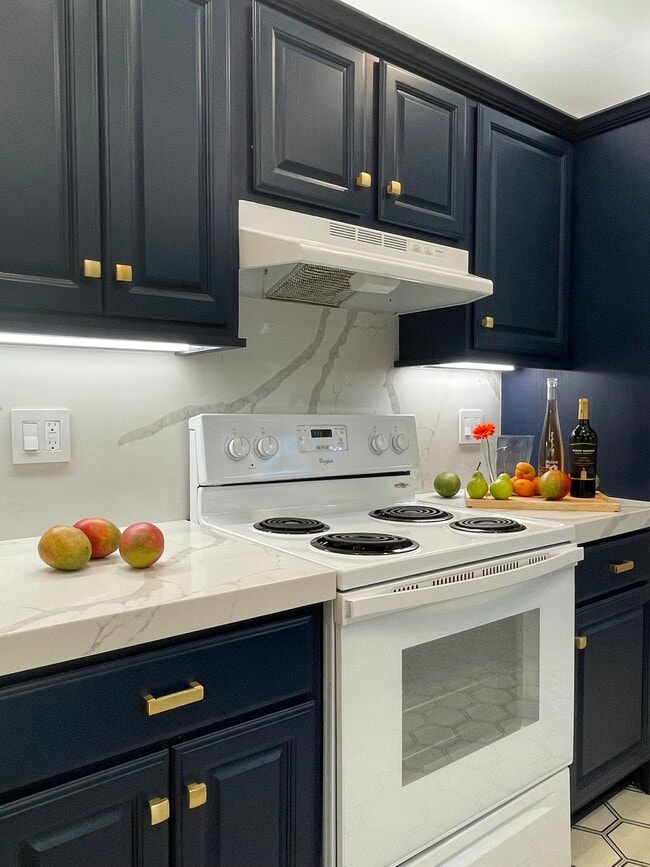 newly remodeled kitchen - 4708 Park Granada Park