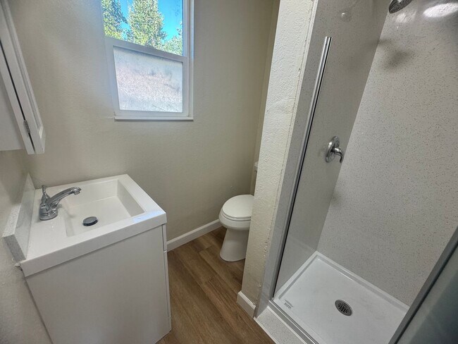 Building Photo - Remodeled Studio Near Sutter Park & Tower ...