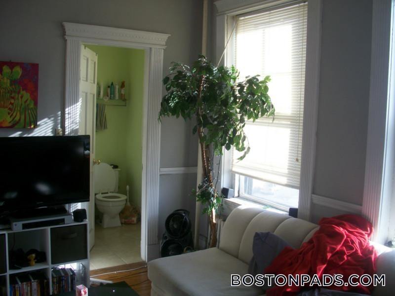 Building Photo - 447 Park Dr