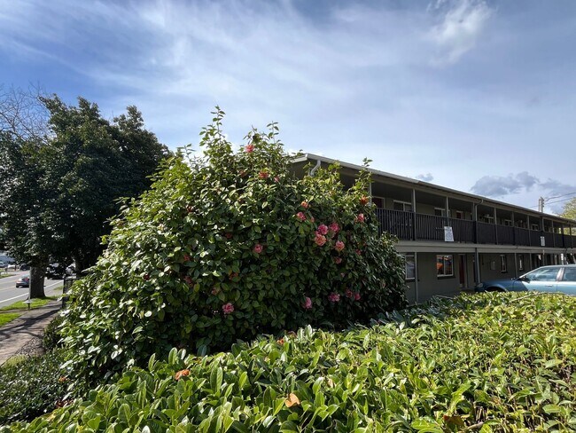 Building Photo - (DUP)  Studio Apartment - Close to Campus