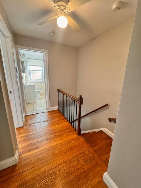 Building Photo - 1726 E Belvedere Ave