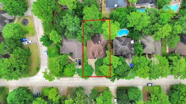 Building Photo - 42 S Lace Arbor Dr