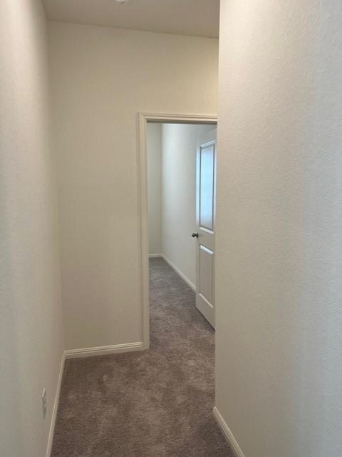 Building Photo - 109 Mouflon Rd