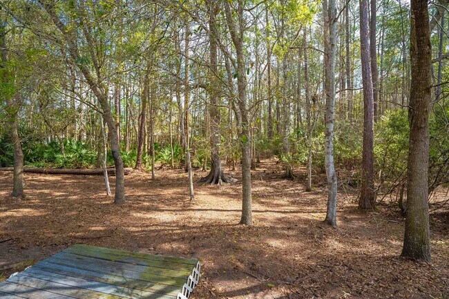 Building Photo - 4040 Red Pine Ln