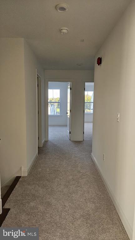 Building Photo - 28 Ironwood Dr