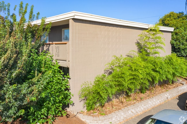 Landscaping, Bamboo - Rancho Real
