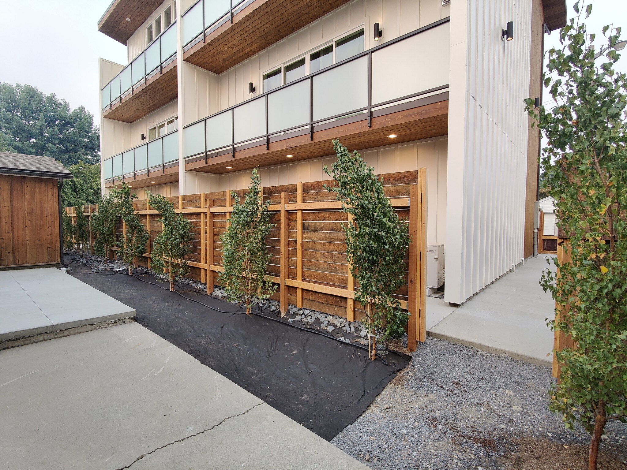 Backyard - 823 Orondo Ave