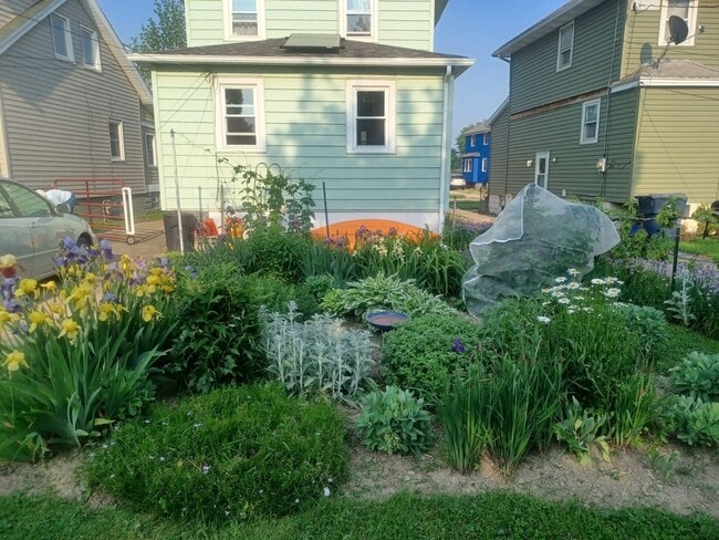 Building Photo - Sunny, Energy-Efficient Home in a Quiet, Close-to-Everything Neighborhood