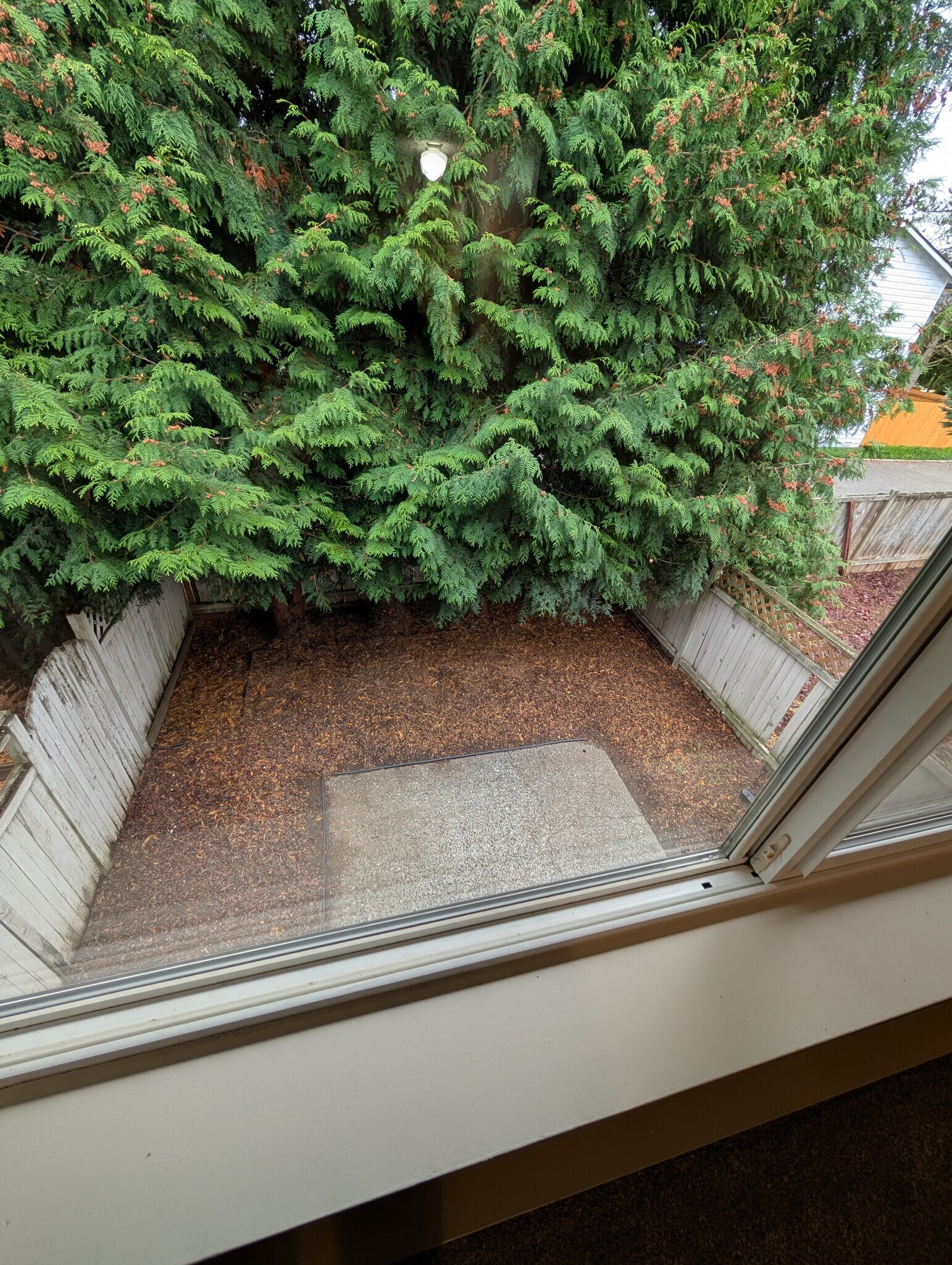 Building Photo - 4617 80th St NE