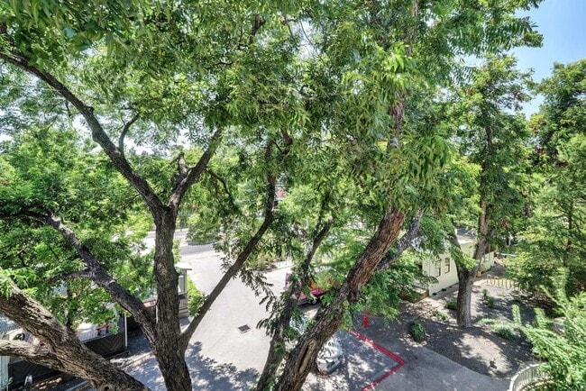 Building Photo - 1600 Barton Springs Rd