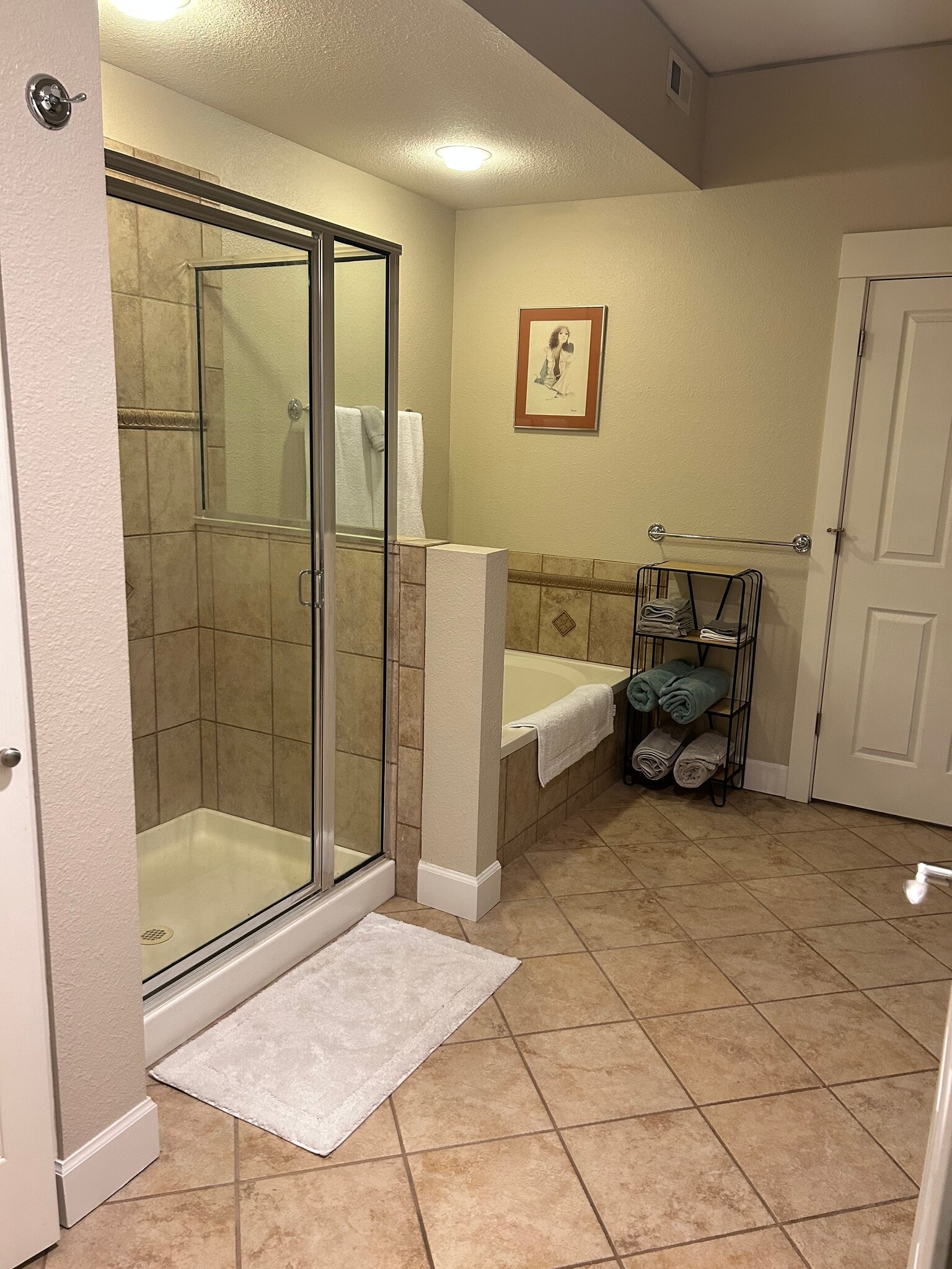 Master Bath - 1699 N Downing St