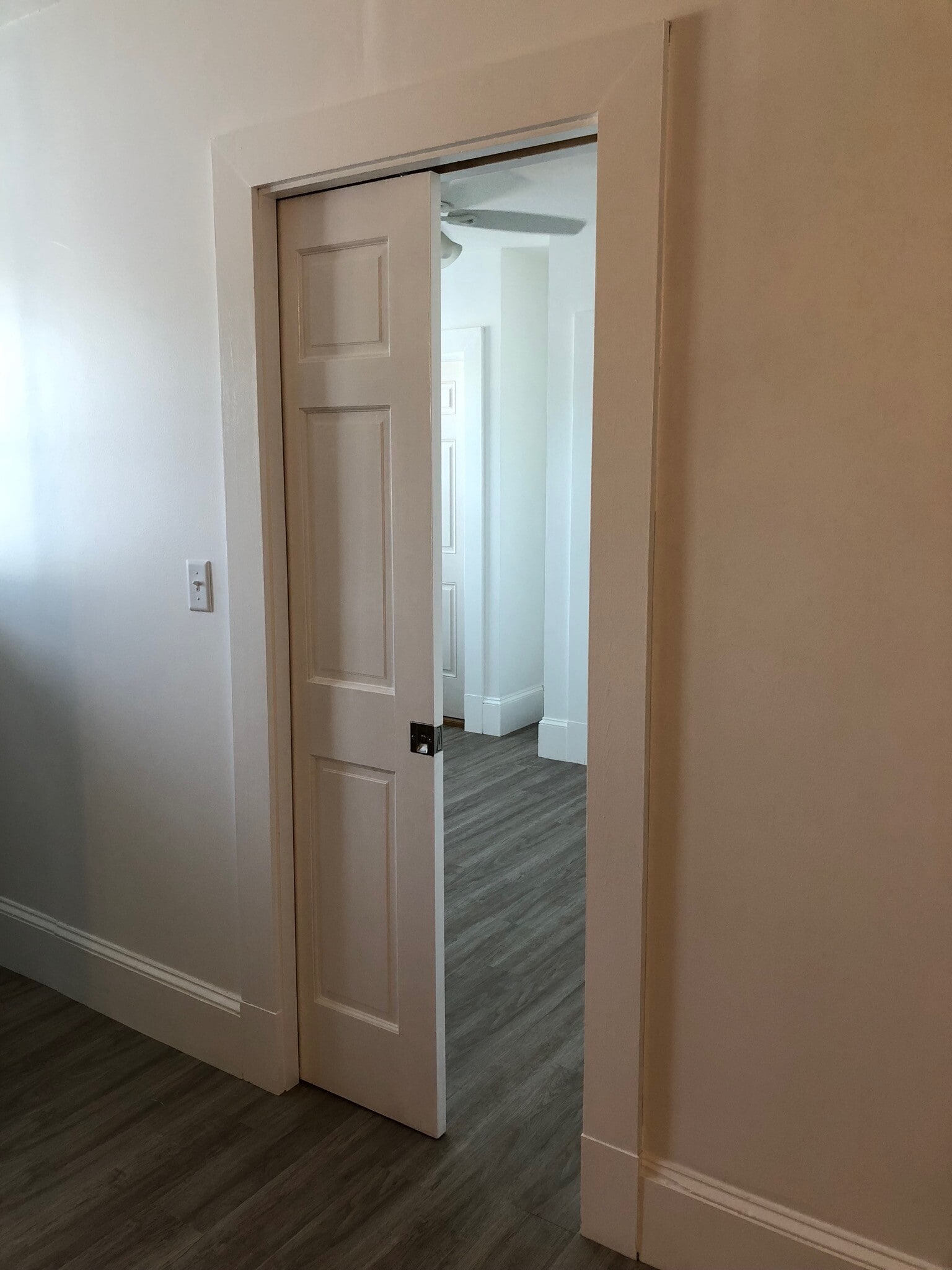 pocket door to bedroom - 165 W Emerson St