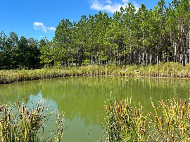 Building Photo - Gorgeous 3-Bedroom Log Cabin with Loft, Large Shop & Stocked Pond – Near Branford, FL